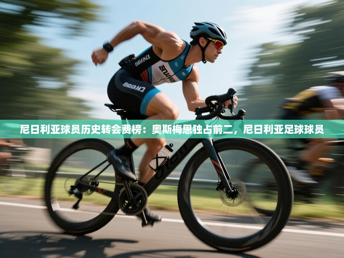 尼日利亚球员历史转会费榜:奥斯梅恩独占前二,尼日利亚足球球员 第1张