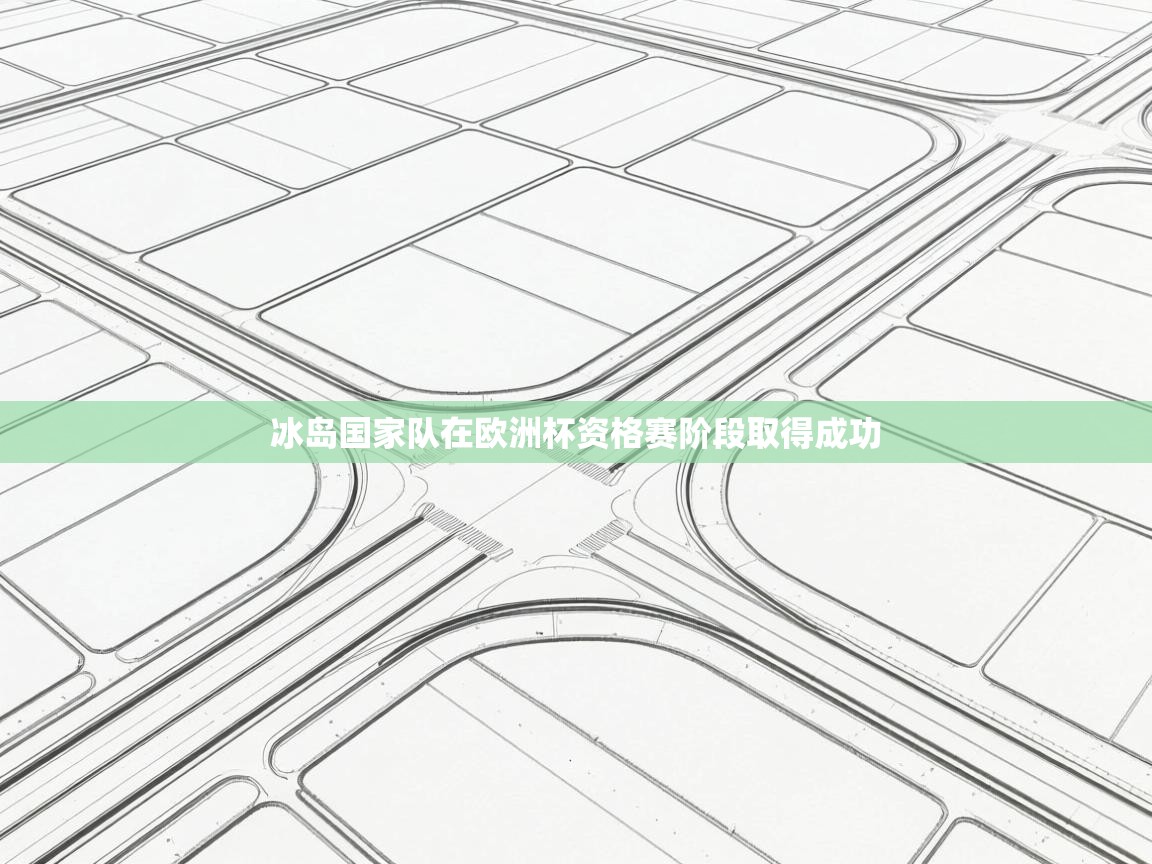 冰岛国家队在欧洲杯资格赛阶段取得成功