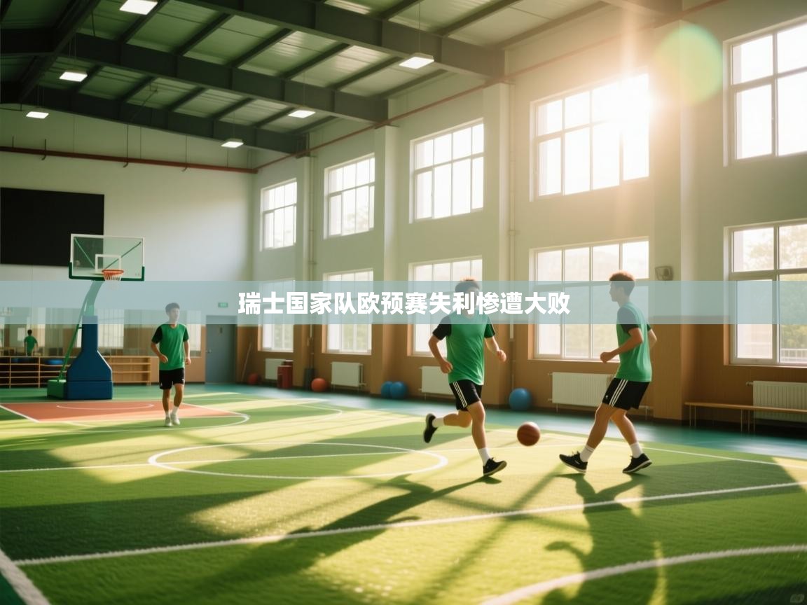 瑞士国家队欧预赛失利惨遭大败 第1张