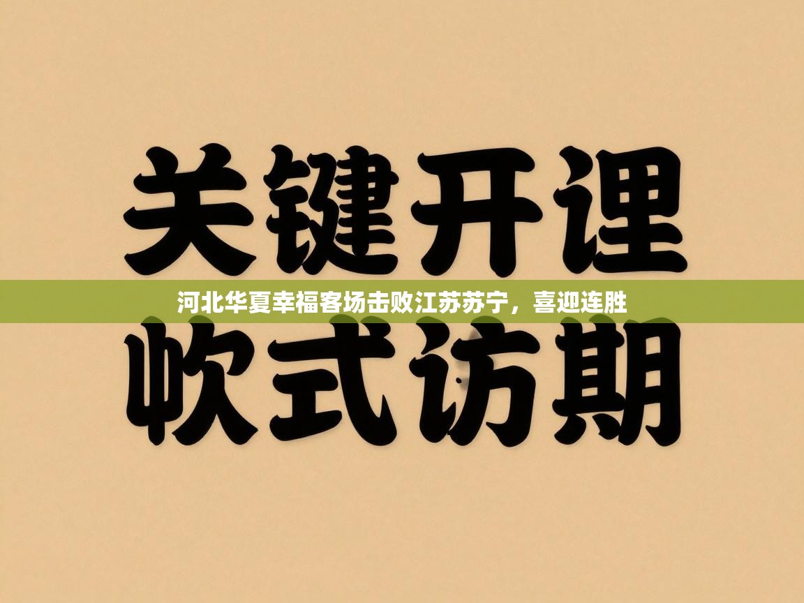河北华夏幸福客场击败江苏苏宁，喜迎连胜  第2张